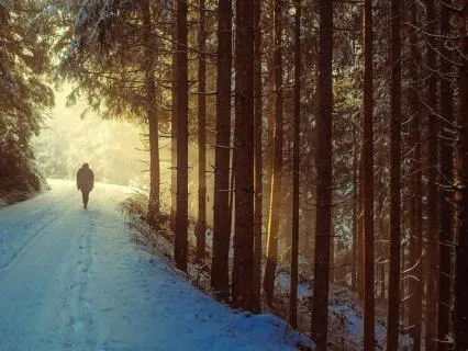 Lent2026 In The Wilderness, Still Held 8