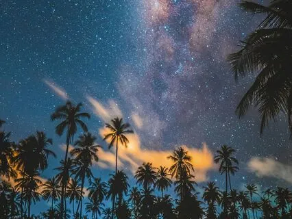 Leo August 2025 Zodiac Meditation | Anxiety Relief Horoscope