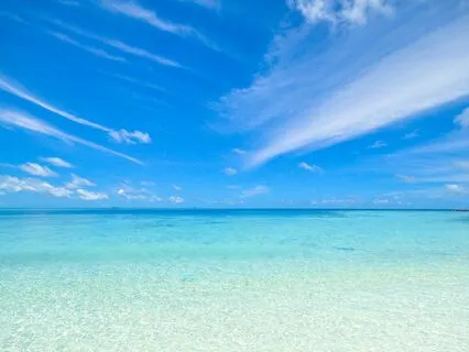 Leo Empowerment Journey With 852 Hz Solfeggio Brain Bliss