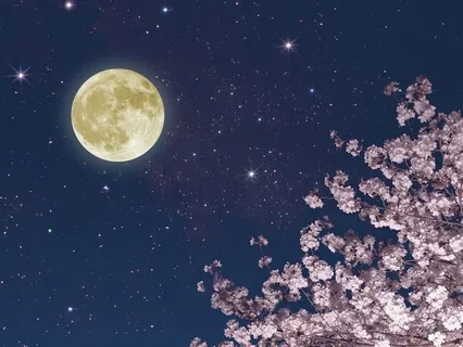 Leo Full Moon - Expansion