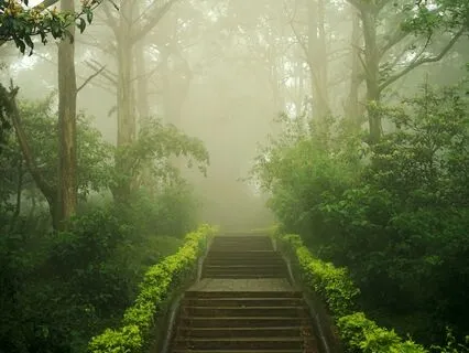 Leo Full Moon Reiki Activation