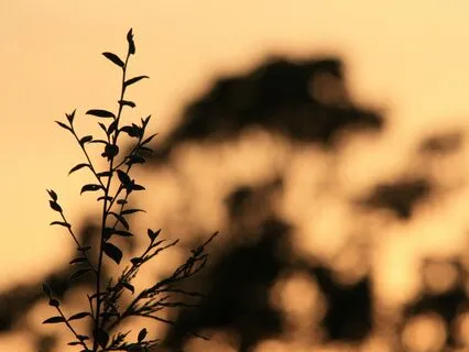 Astrology Libra Meditation: The Art Of Inner Balance