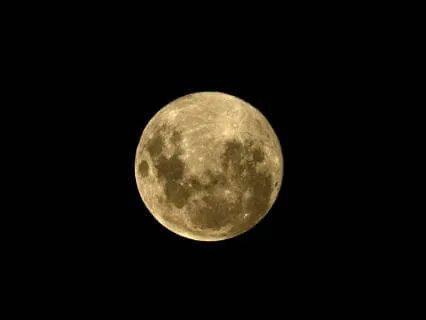 Leo Season 2026 Affirmations