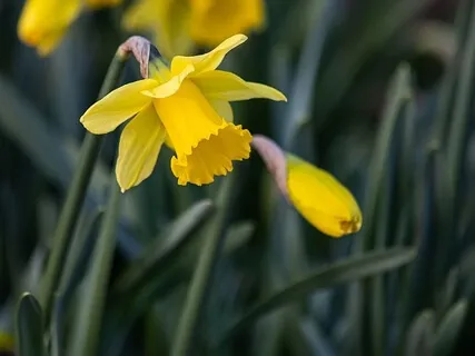 Les Relacions de la Teva Vida - Meditació