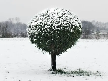 Less: Contemplative Meditation