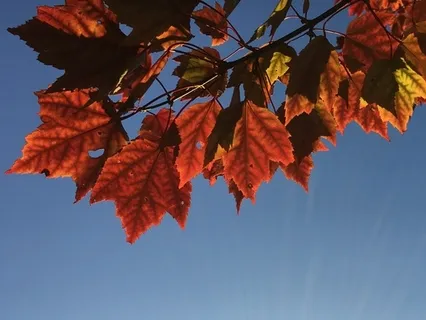 Less Ego, More Happiness