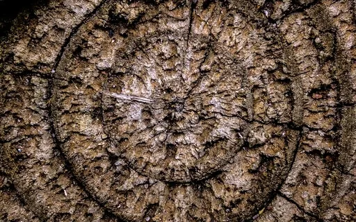 Less Is More - 9 Minutes Of Binaural Magic