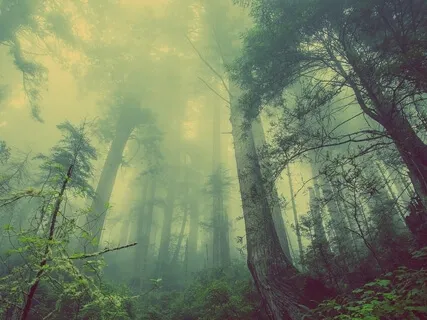 Lessening Feelings Of Guilt, Fear And Anxiety