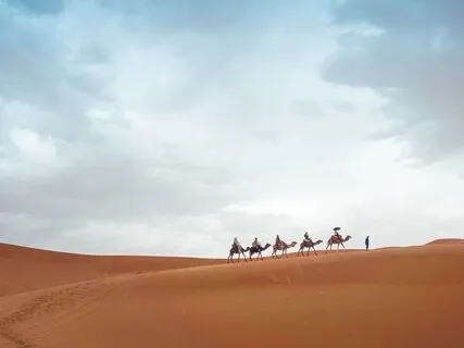 Lessons From Lockdown 