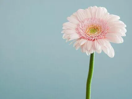 Lessons From My Cancer Journey