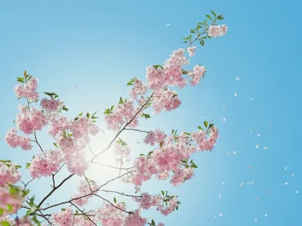 Lessons Learned & Ground Hog Day (The Movie)