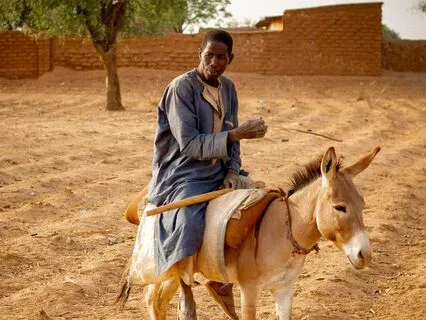 Lessons Of Blessing And Curse