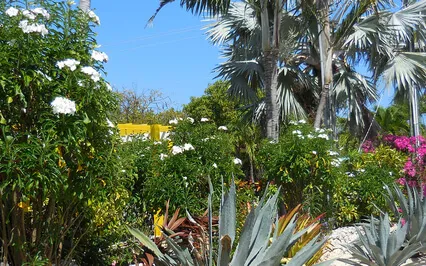 Lessons On Strength And Being Strong 