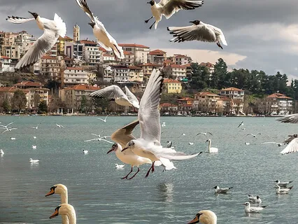 Let Breath Purify The Mind That Leads To Mindfulness-1