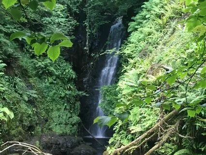 Let Creativity Flow Freely