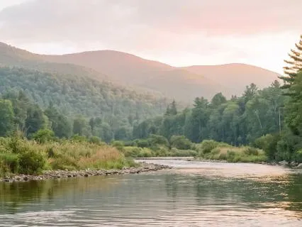 Let Experience Flow Through You (Non-Reactivity Practice)