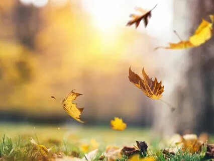 Let Go - Progressive Relaxation Exercise