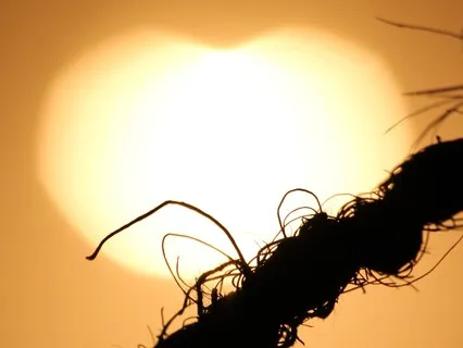 Let Go: A 10-Minute Energetic Cord Cutting