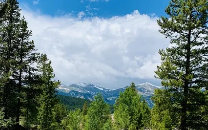 Let Go: A Guided Journal And Meditation Practice