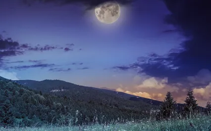 Let Go And Drift Off 