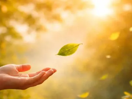 Let Go And Flow | Morning Meditation