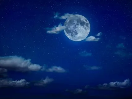 Let Go And Free Your Mind