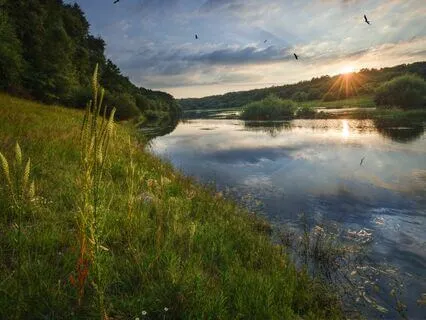 Let Go And Heal: Stress-Free Soundscapes