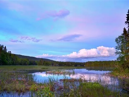 Let Go And Let God Be In Control