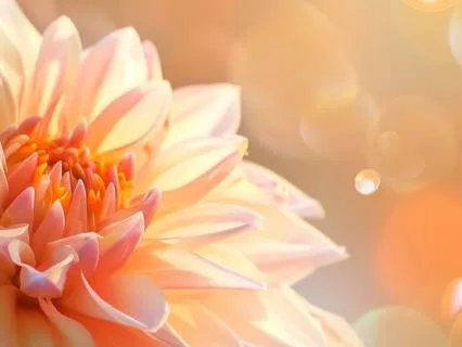 Let Go And Let God | Manifest Opportunity, Love Or Money