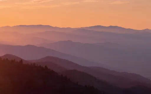 Let Go And Make A Fresh Start