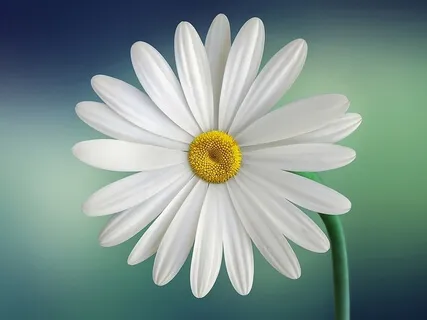 Let Go & Promote Self-Healing