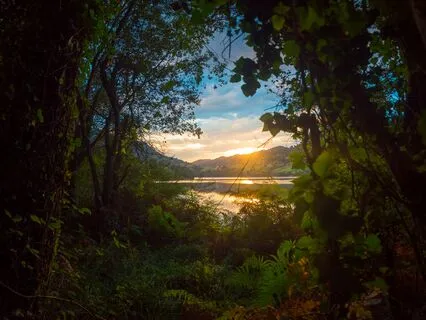 Let Go And Relax: Music To Unwind