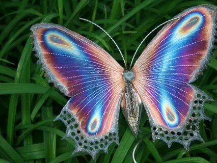 Let Go And Transform Into Your New Self