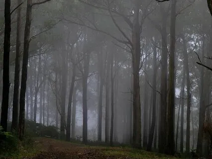 Let Go: Cleanse And Release With Sacred Sounds