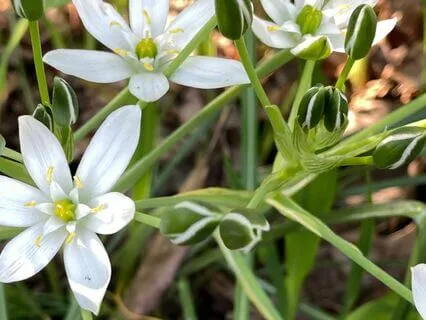 Let Go Meditation: Clear & Release Energetic Attachments