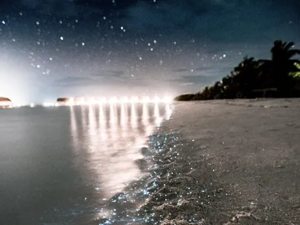 Let Go - Day 1 Meditation Challenge