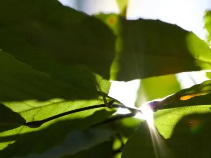 Let Go Easily & Quickly