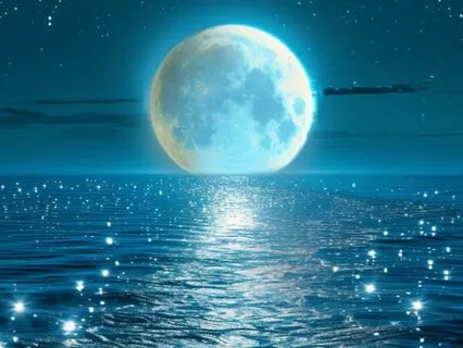 Let Go & Flow Meditation