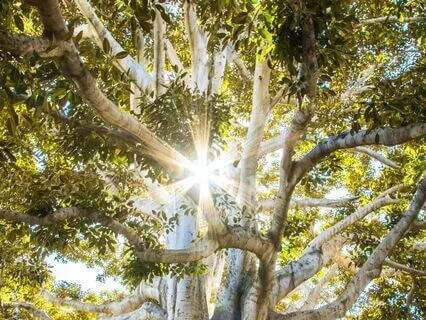 Let Go, Forgive, Be Love