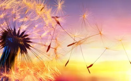 Let Go!  Healing Transmission