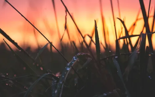 Let Go Into Deep Sleep