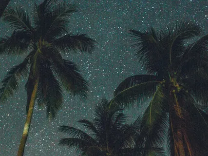 Let Go Let Go Into Sleep