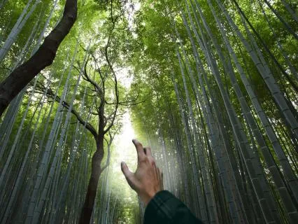 Step Out Of The River