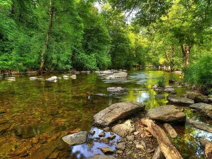 Let Go Of Anxiety, Stress, And Negativity