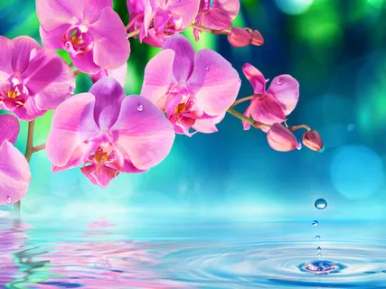 Let Go Of Anxiety Meditation