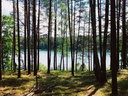 Let Go Of Business As Usual