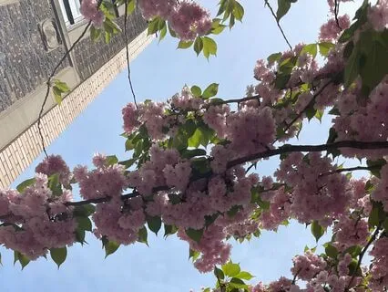 Let Go Of Comparison & Welcome Abundance