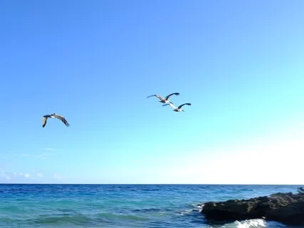 Let Go Of Limiting Beliefs & Be Free