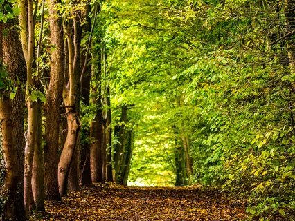 Let Go Of Limiting Beliefs