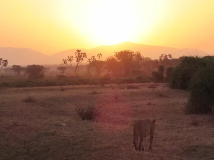 Let Go Of Needing Approval